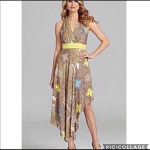 Antonio Melani Lourdes Dress Retro Spring Breeze Print NWT